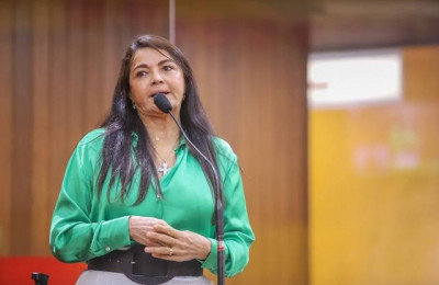 Deputada Teresa Britto pede autonomia financeira da Uespi à governadora Regina Sousa